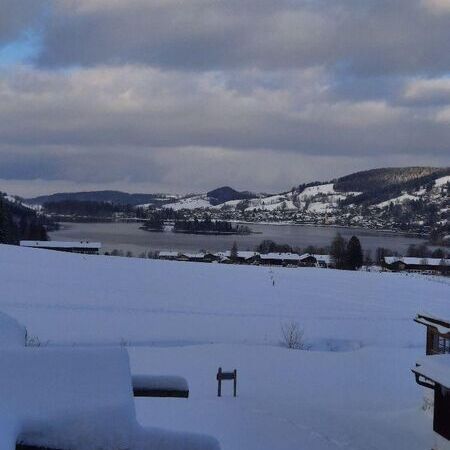 Nr. 8 "Alpenveilchen"