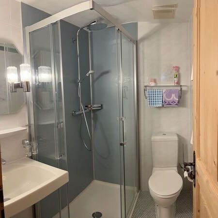 Nr. 8 "Alpenveilchen"