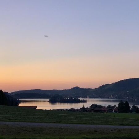 Nr. 8 "Alpenveilchen"