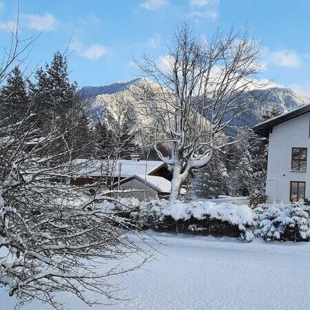 Nr. 3 "Jägerkampblick"